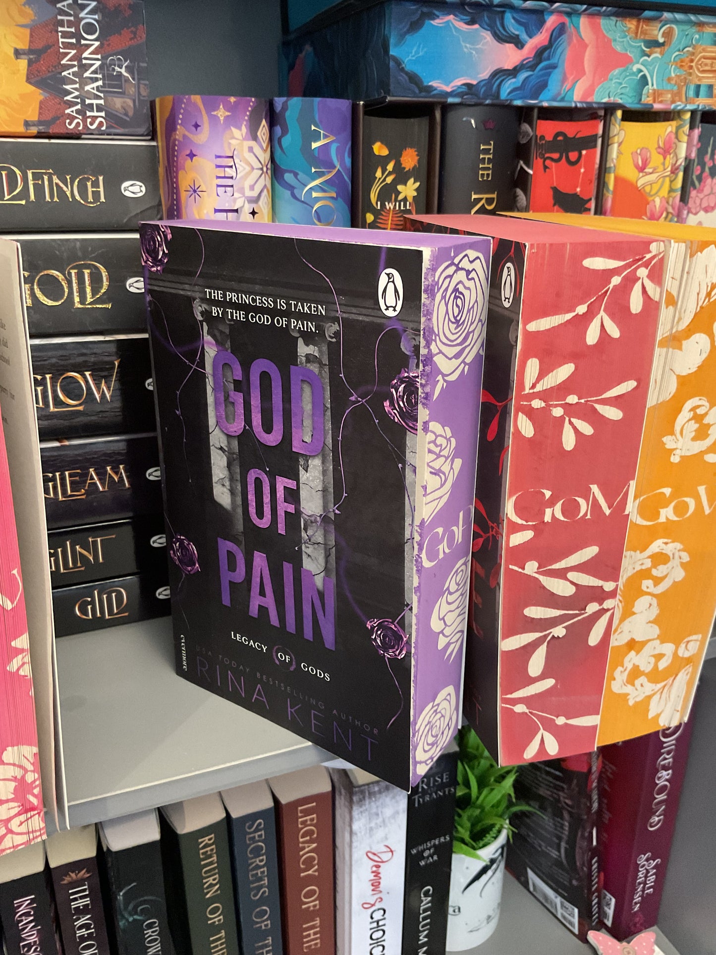 Woopsie Rina Kent’s Legacy of Gods Series