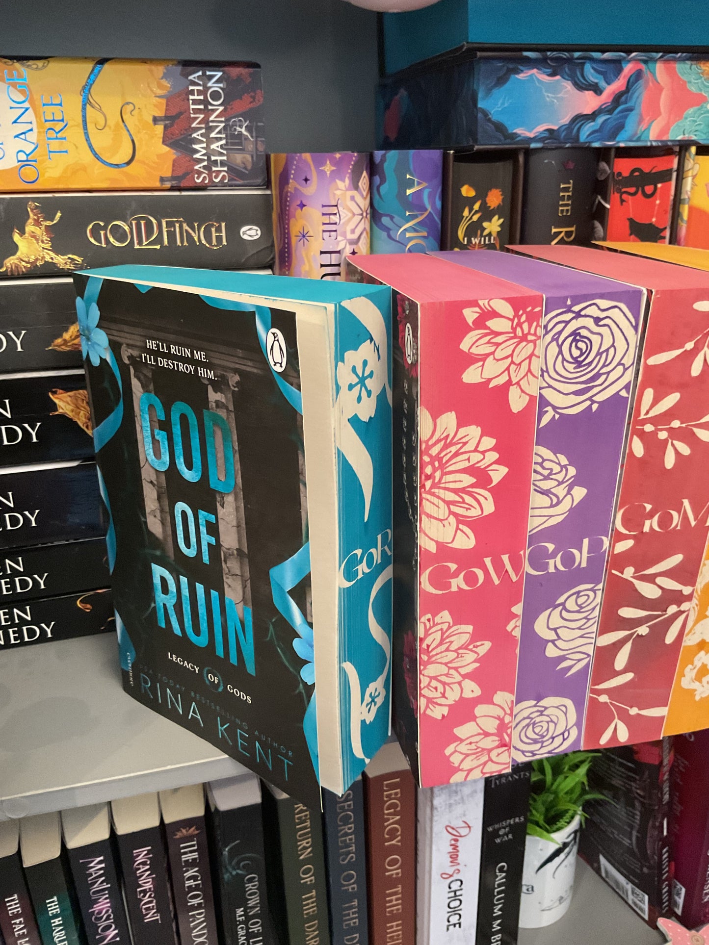Woopsie Rina Kent’s Legacy of Gods Series