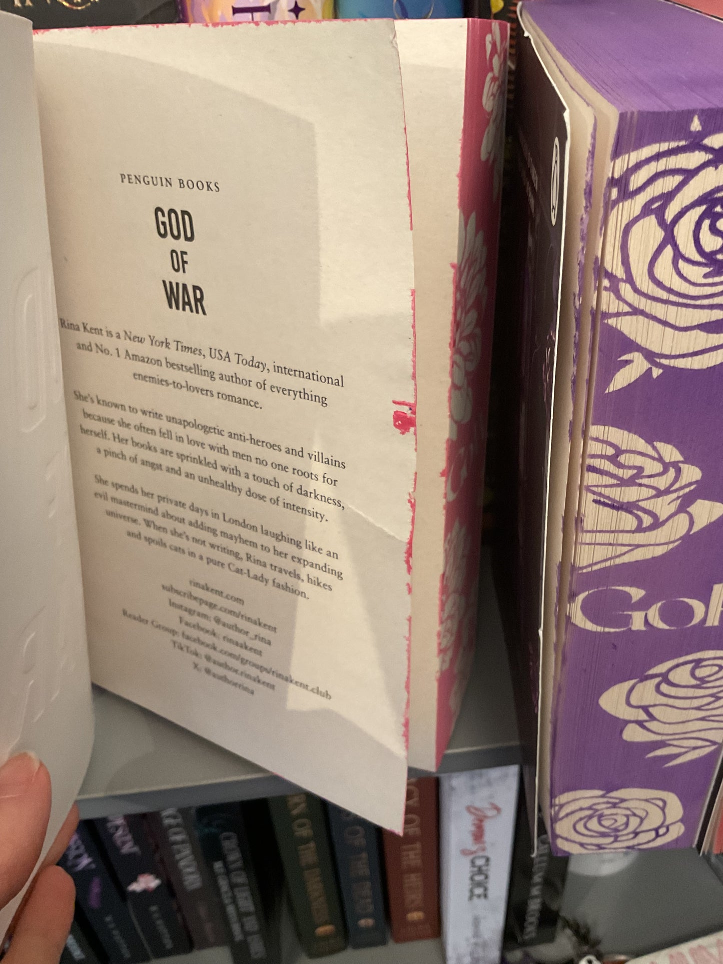 Woopsie Rina Kent’s Legacy of Gods Series